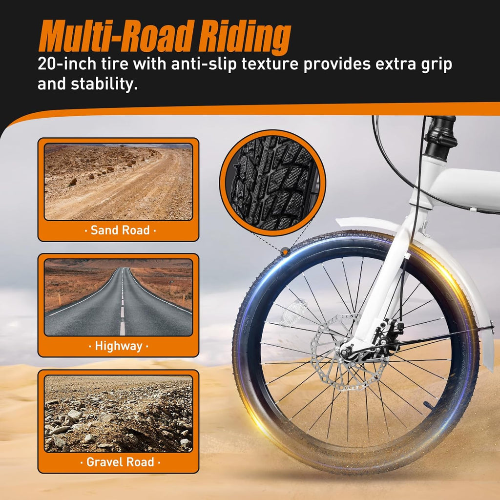 20-inch 7 Speed Folding Bicycle with Disc Brake M8973