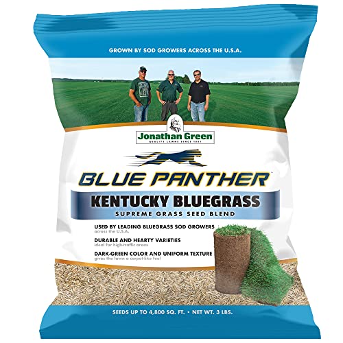 Blue Panther Kentucky Bluegrass Grass Seed (25 lb) F6990