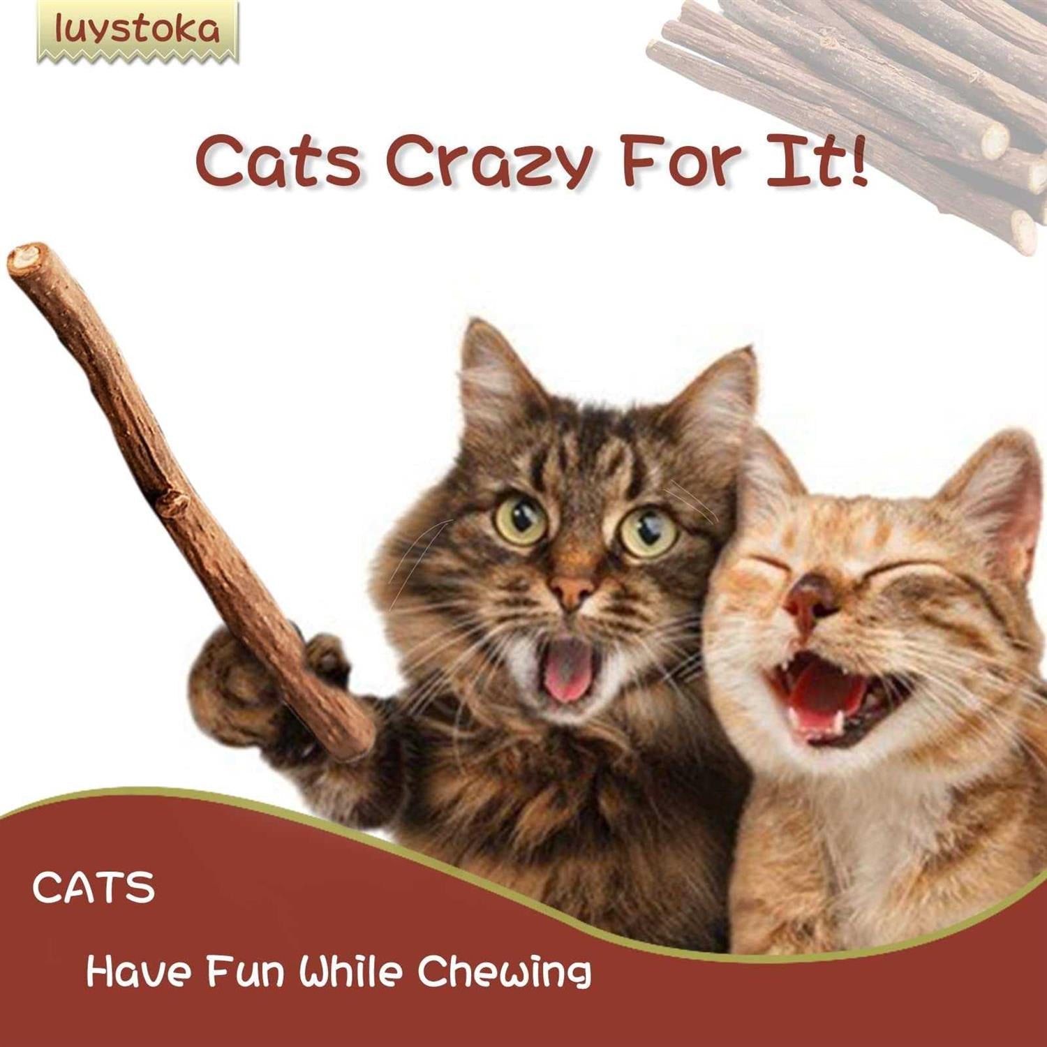 30pcs Catnip Silvervine Sticks Kitten Chew Toys Wooden Stick Teething Toys E358456