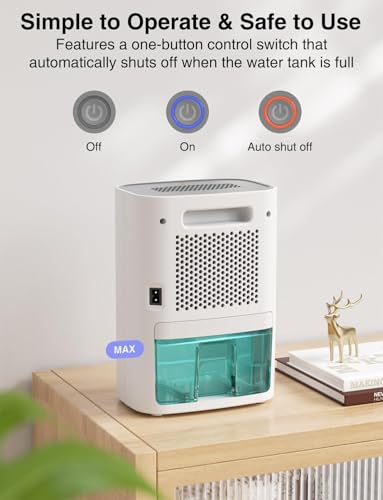 30 OZ Mini Quiet Dehumidifier R853