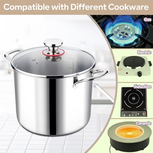 10 Quart Stainless Steel Stock Pot with Lid W735