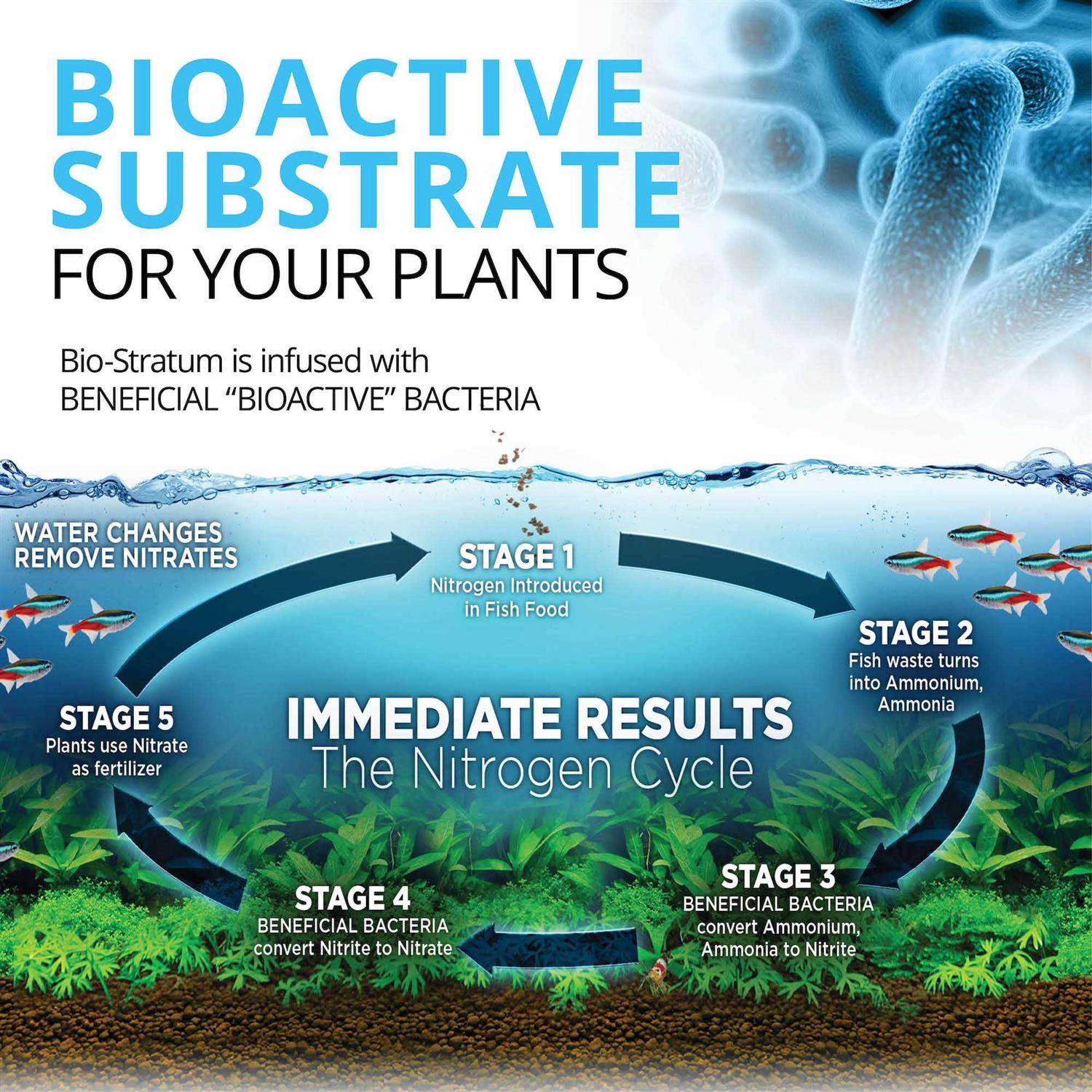 Bio Stratum Fluval - Pet Supplies L432298