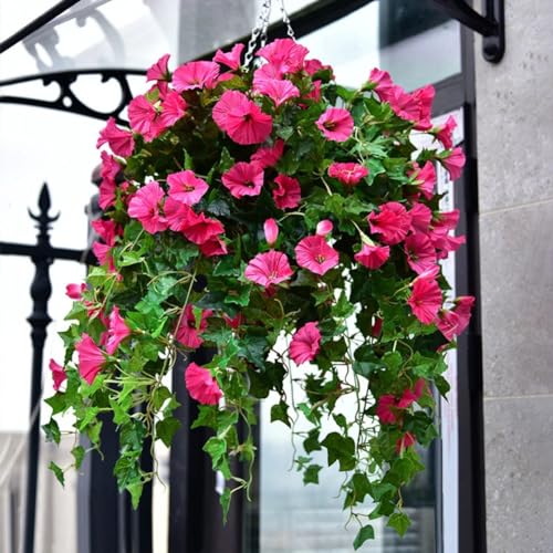 24 Bunches Artificial Morning Glories Z99535