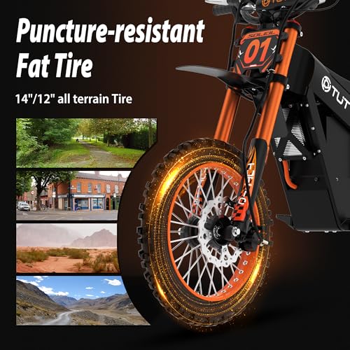 48V 21AH Removable Battery Electric Dirt Bike with Hydraulic Brakes W52597