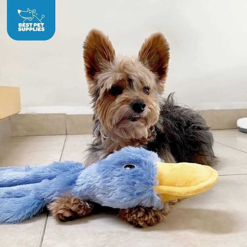 Crinkle Dog Toy No Stuffing Duck with Soft Squeaker Y744