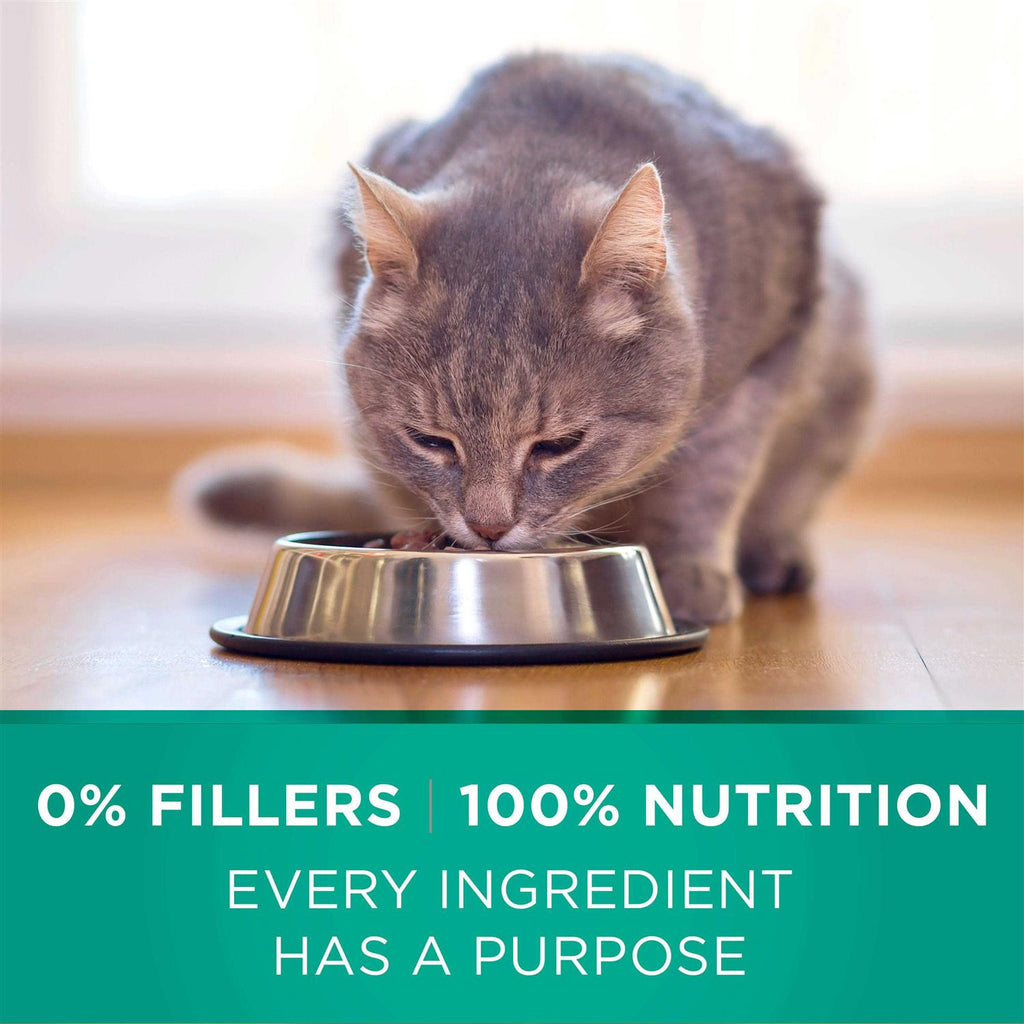 Dry Cat Food V986