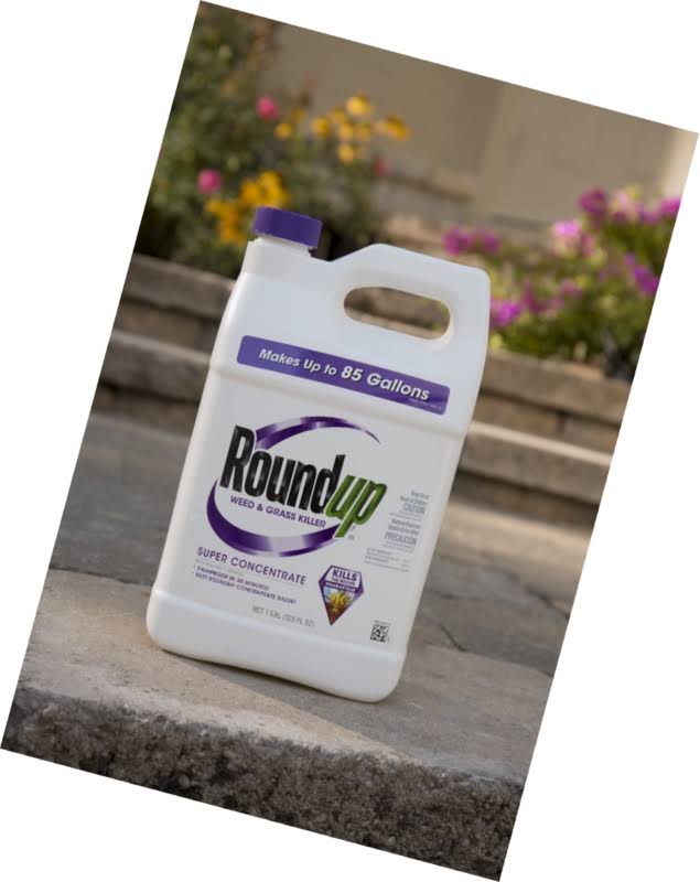 1 Gal Weed and Grass Killer N361591