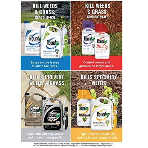 1 Gal Weed and Grass Killer N361591