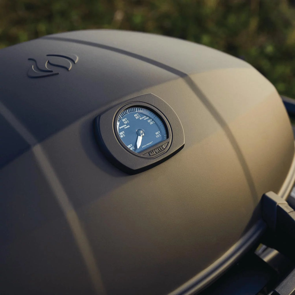 Matte Black Portable Propane Gas Grill C137529