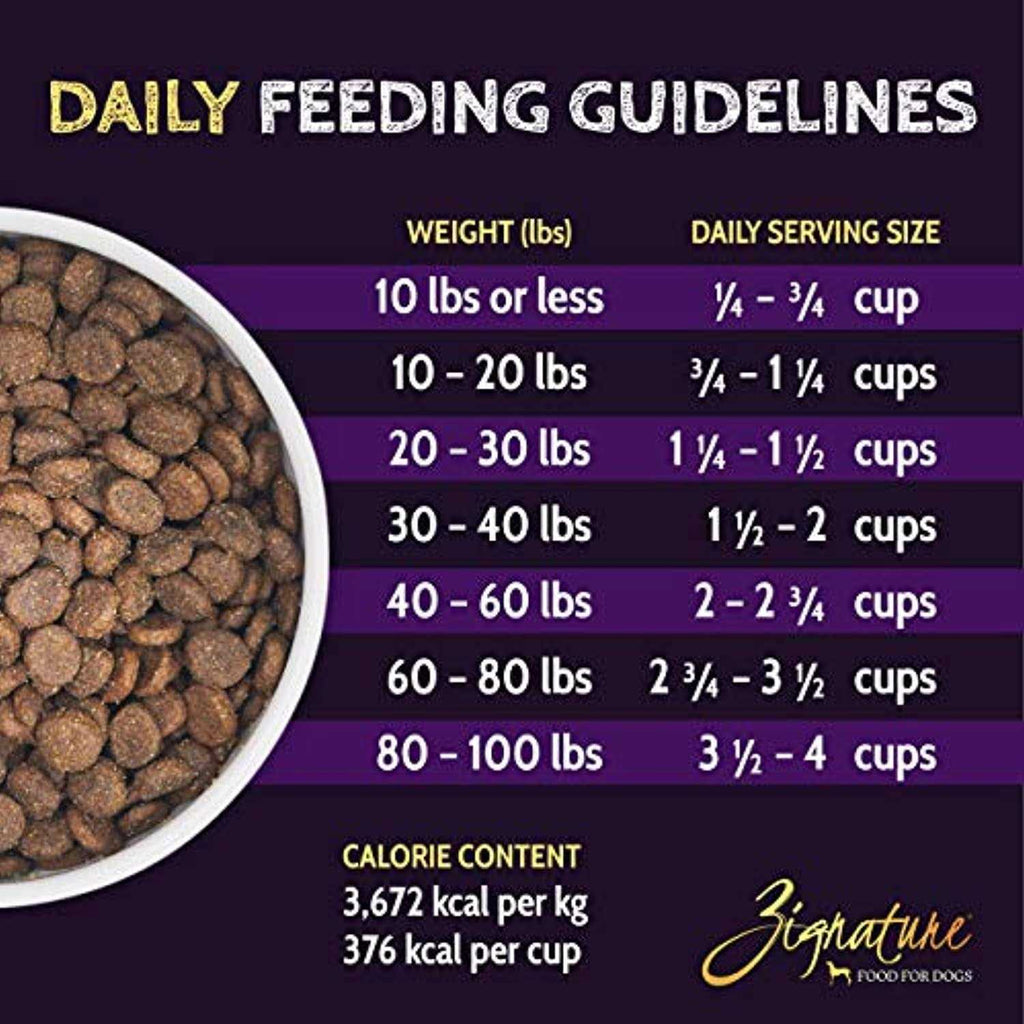 Trout & Salmon Formula Dry Dog Food Y91640