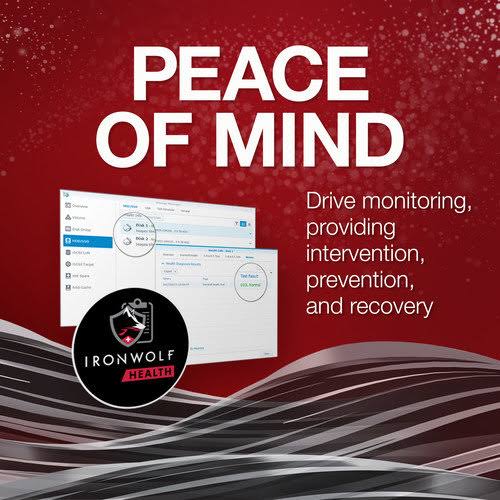 2TB Internal NAS HDD N2604