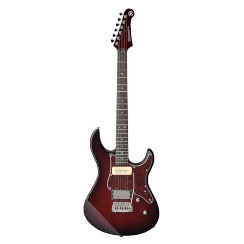Translucent Black 6 String Solid-Body Electric Guitar H5828