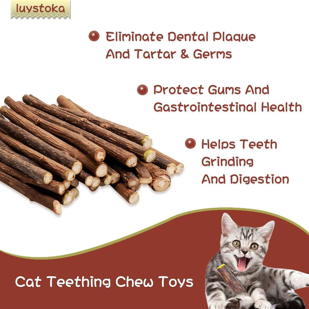 30pcs Catnip Silvervine Sticks Kitten Chew Toys Wooden Stick Teething Toys E358456