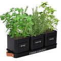 Indoor Herb Garden Planter Set with Tray, White Y656203