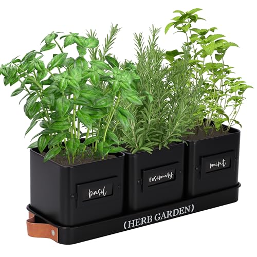 Indoor Herb Garden Planter Set with Tray, White Y656203