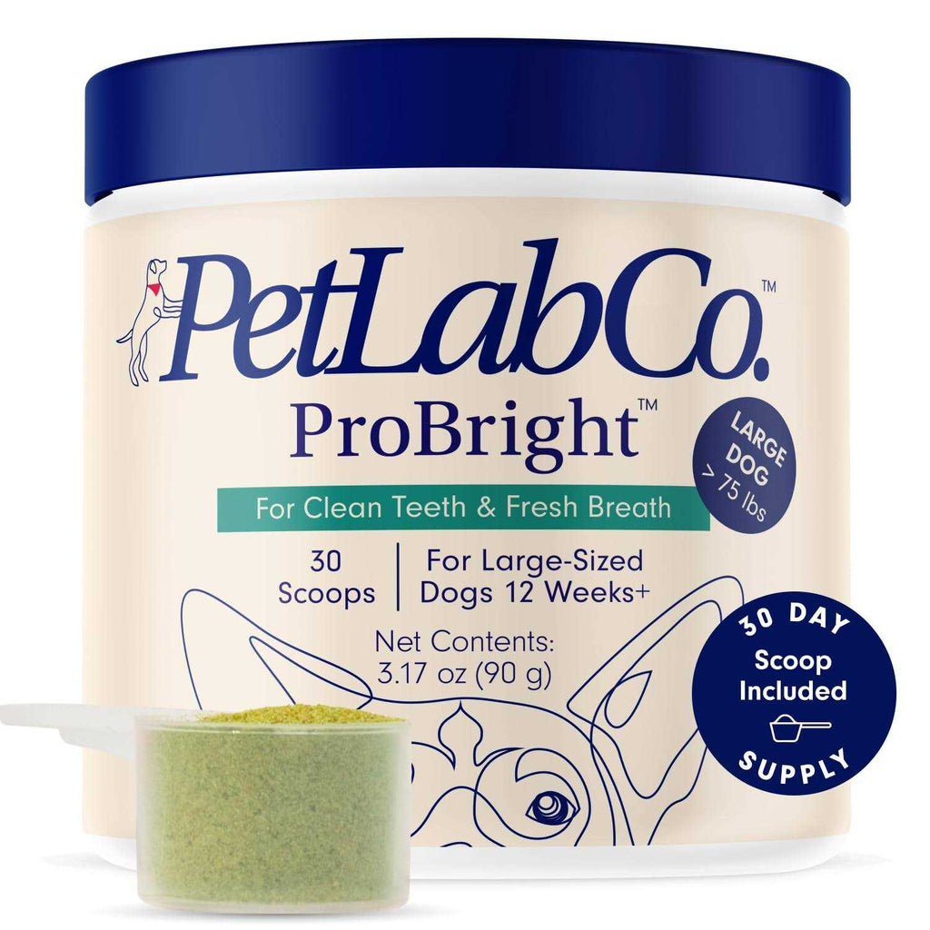 Dog Dental Powder V430