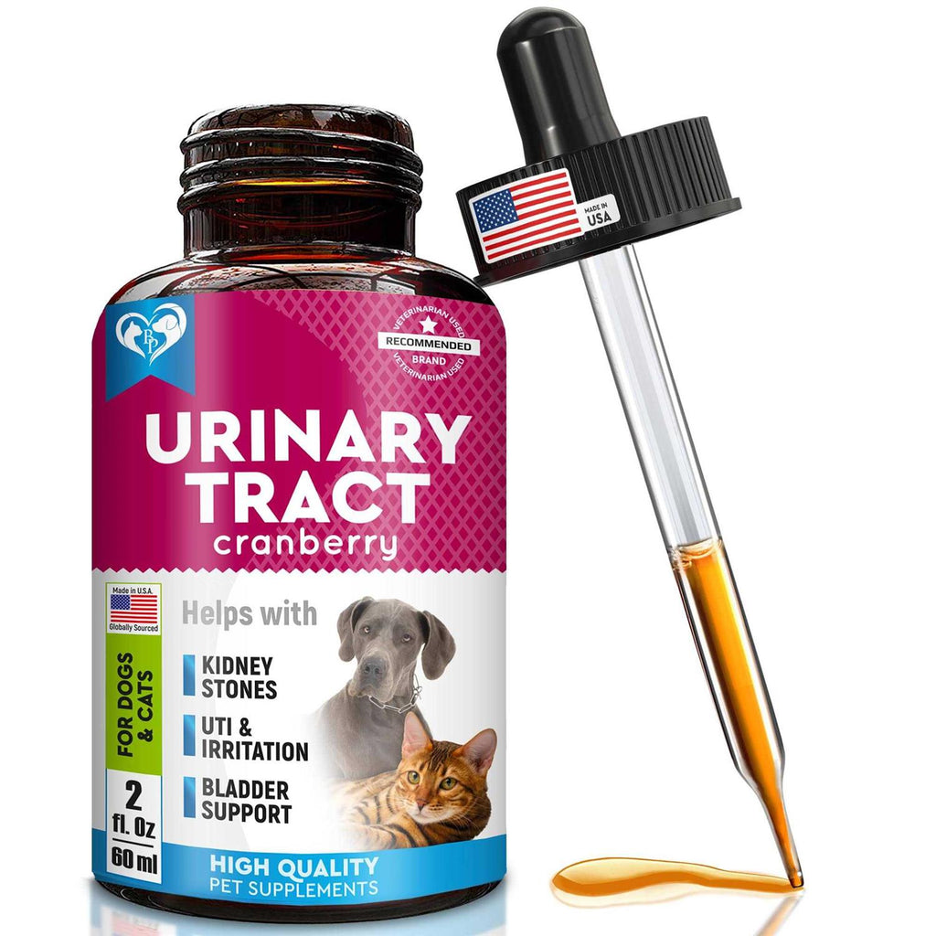 Urinary Tract Infection Treatment Cranberry Supplement X27092