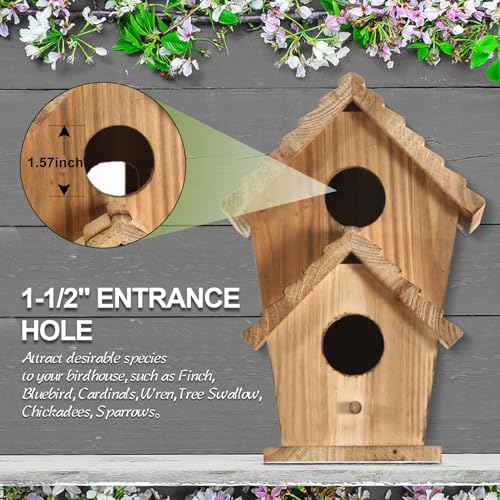 Wooden Outdoor 2 Hole Bird House S884