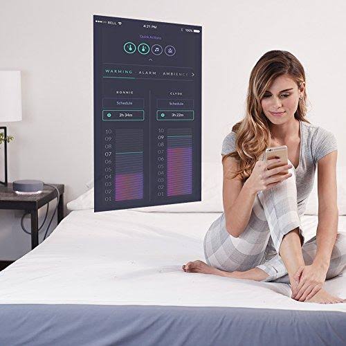 King Mattress Cover E552463