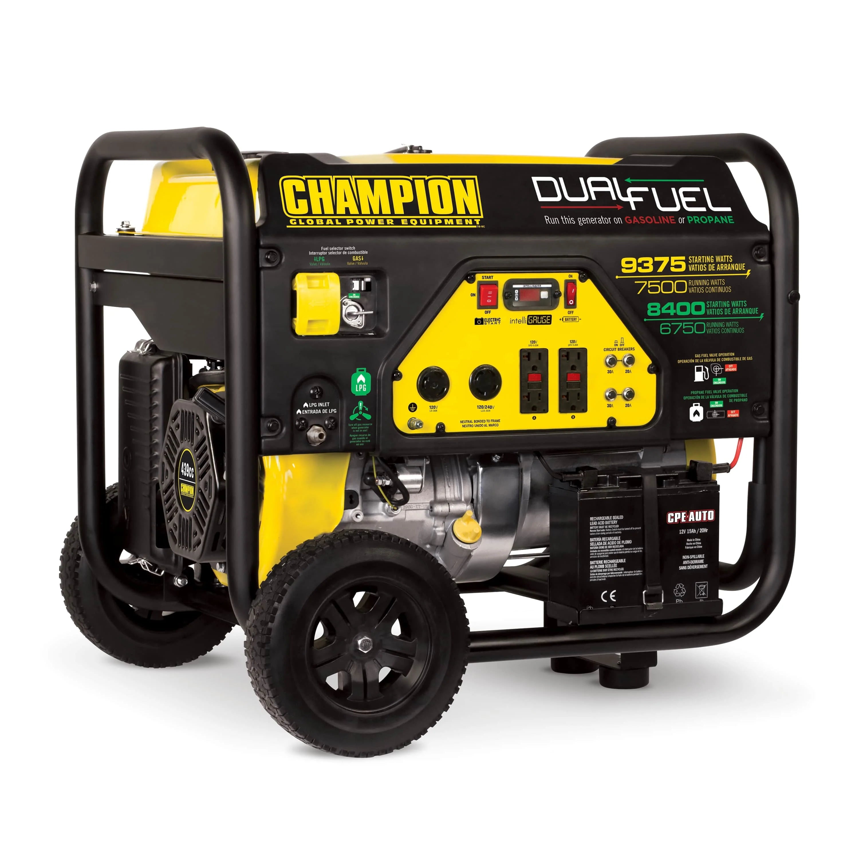 Dual Fuel Portable Generator with Electric Start Z471