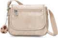 Metallic Crossbody Mini Bag F6504