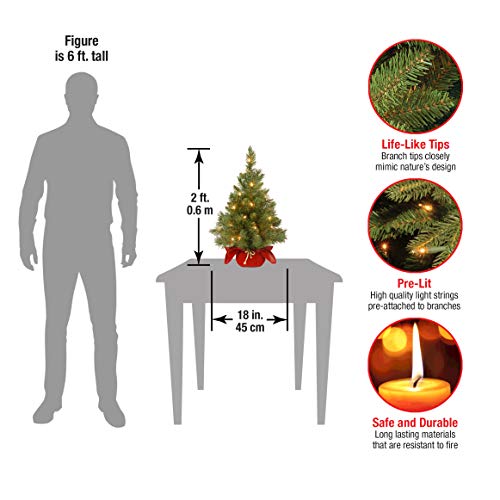 24 in Pre-Lit Artificial Christmas Tree, 35 Clear Lights, Red Cloth Base, Green W88962
