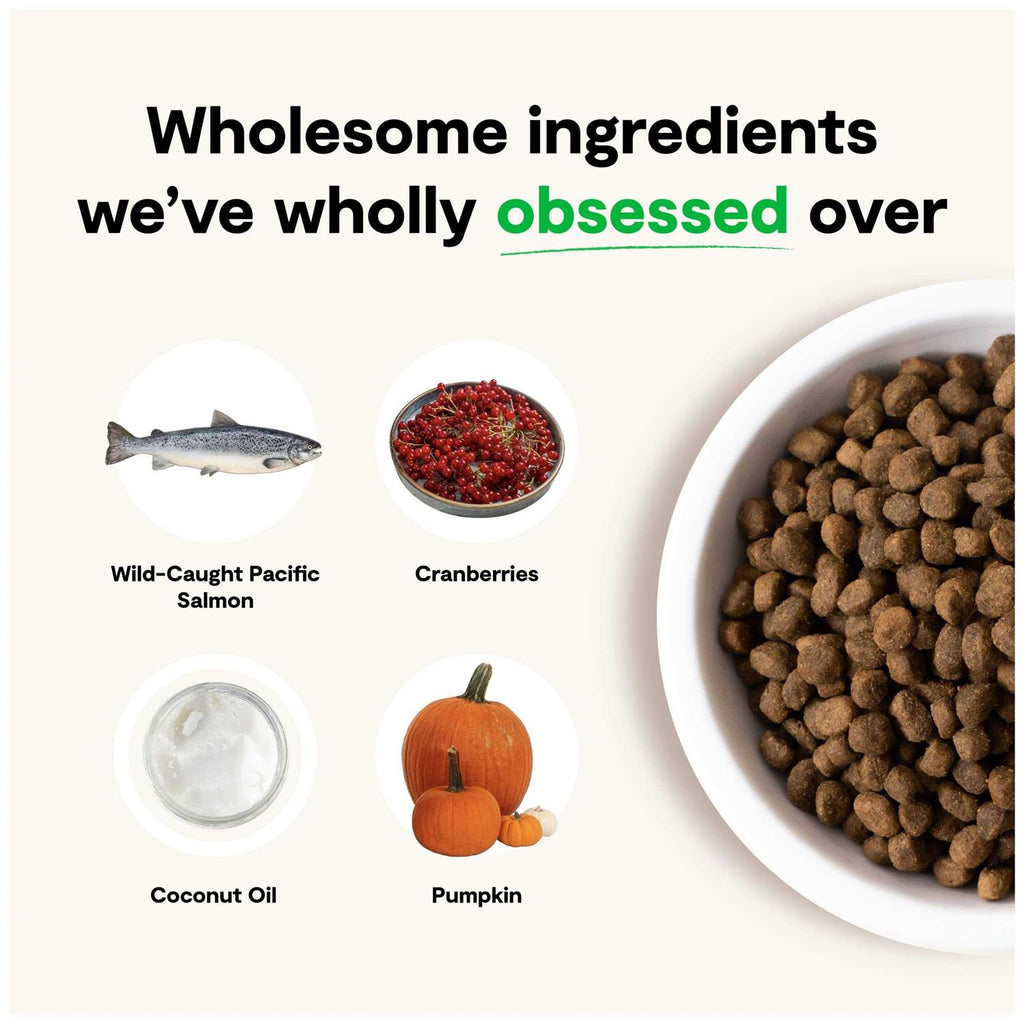 Grain-Free Wild-Caught Salmon Dry Dog Food Y707