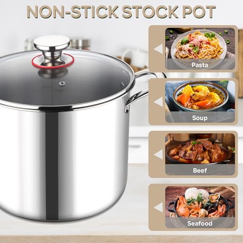 10 Quart Stainless Steel Stock Pot with Lid W735