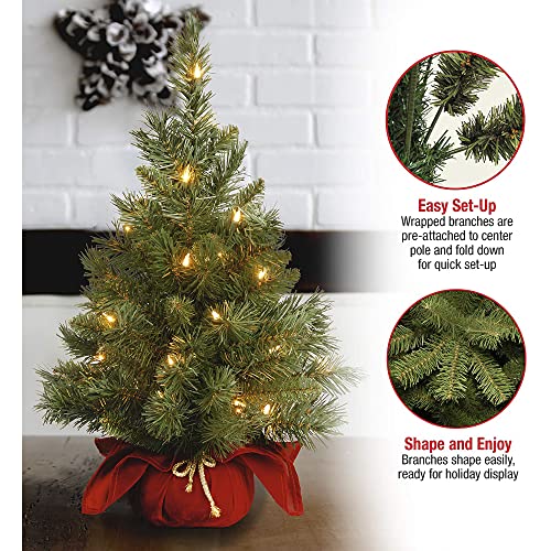24 in Pre-Lit Artificial Christmas Tree, 35 Clear Lights, Red Cloth Base, Green W88962