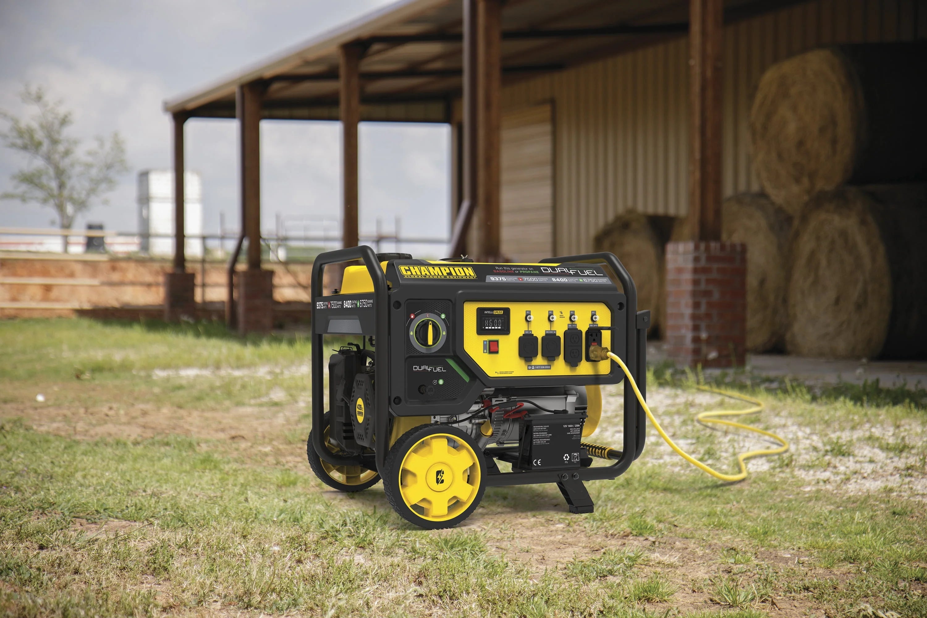 Dual Fuel Portable Generator with Electric Start Z471