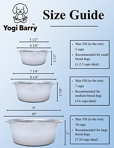 Stainless Steel Dog Bowl Set of 2 with Silicone Non-Skid Base R5401