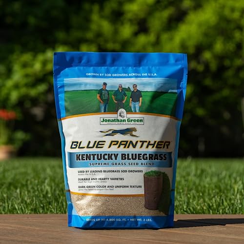 Blue Panther Kentucky Bluegrass Grass Seed (25 lb) F6990