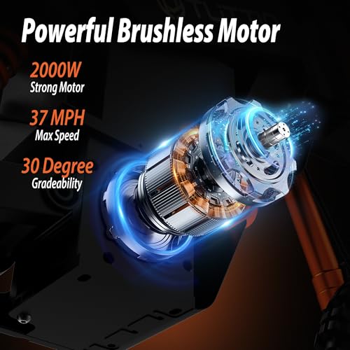 48V 21AH Removable Battery Electric Dirt Bike with Hydraulic Brakes W52597