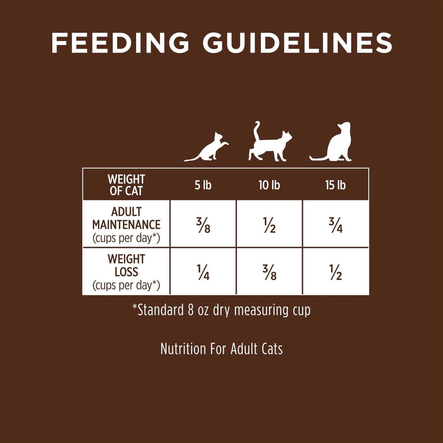 Grain-Free Dry Cat Food with Real Rabbit O83299