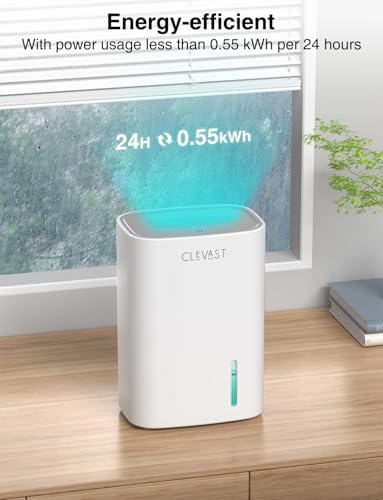 30 OZ Mini Quiet Dehumidifier R853