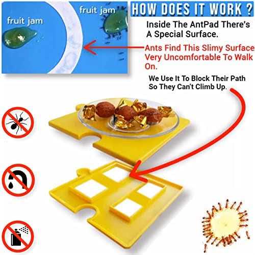 Ant Proof Pet Bowl M834787
