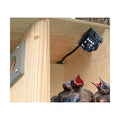 HD Camera V672897