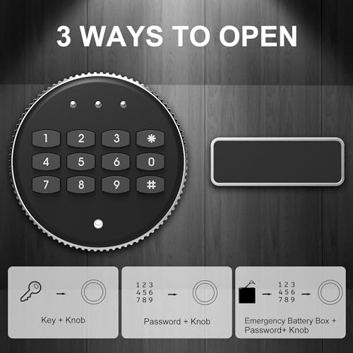 Black Small Biometric Safe Box with Fingerprint Lock L792737