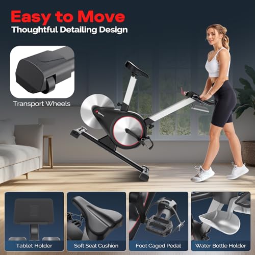 Exercise Bike, Indoor Cycling Bike with LED Display X352