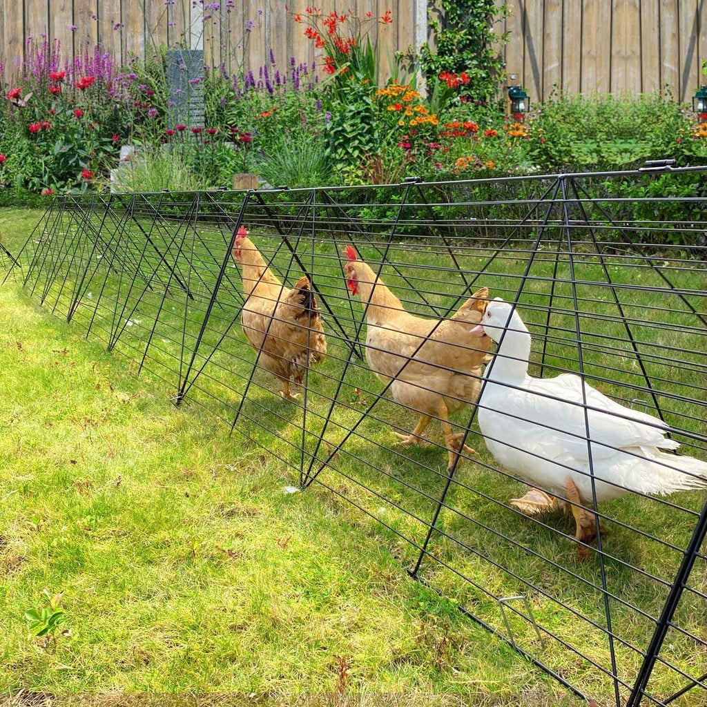 Chicken Tunnels for Yard Chicken Run Coop Tunnel Z876403