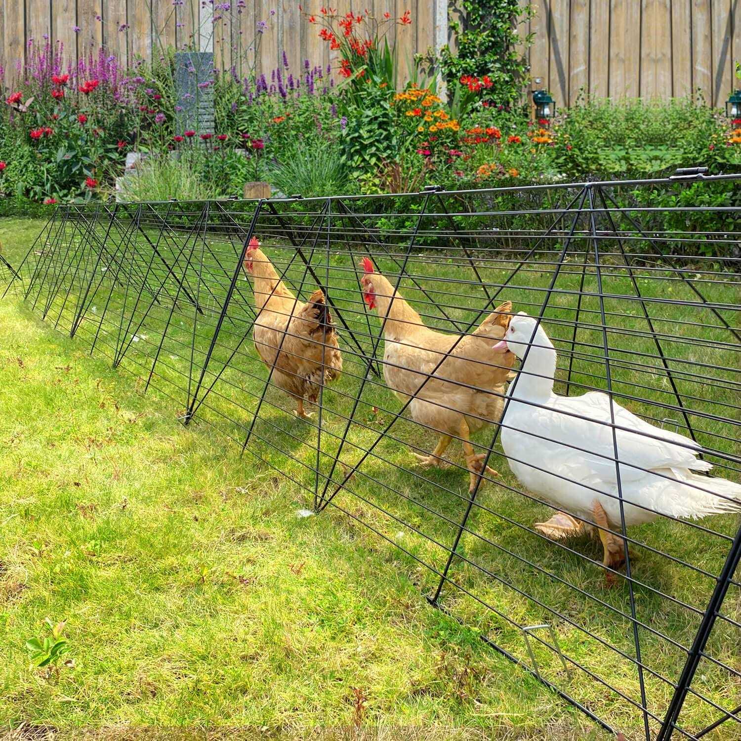 Chicken Tunnels for Yard Chicken Run Coop Tunnel Z876403