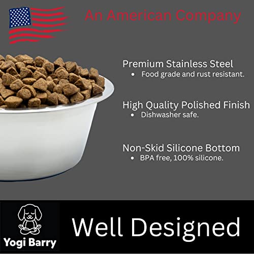 Stainless Steel Dog Bowl Set of 2 with Silicone Non-Skid Base R5401