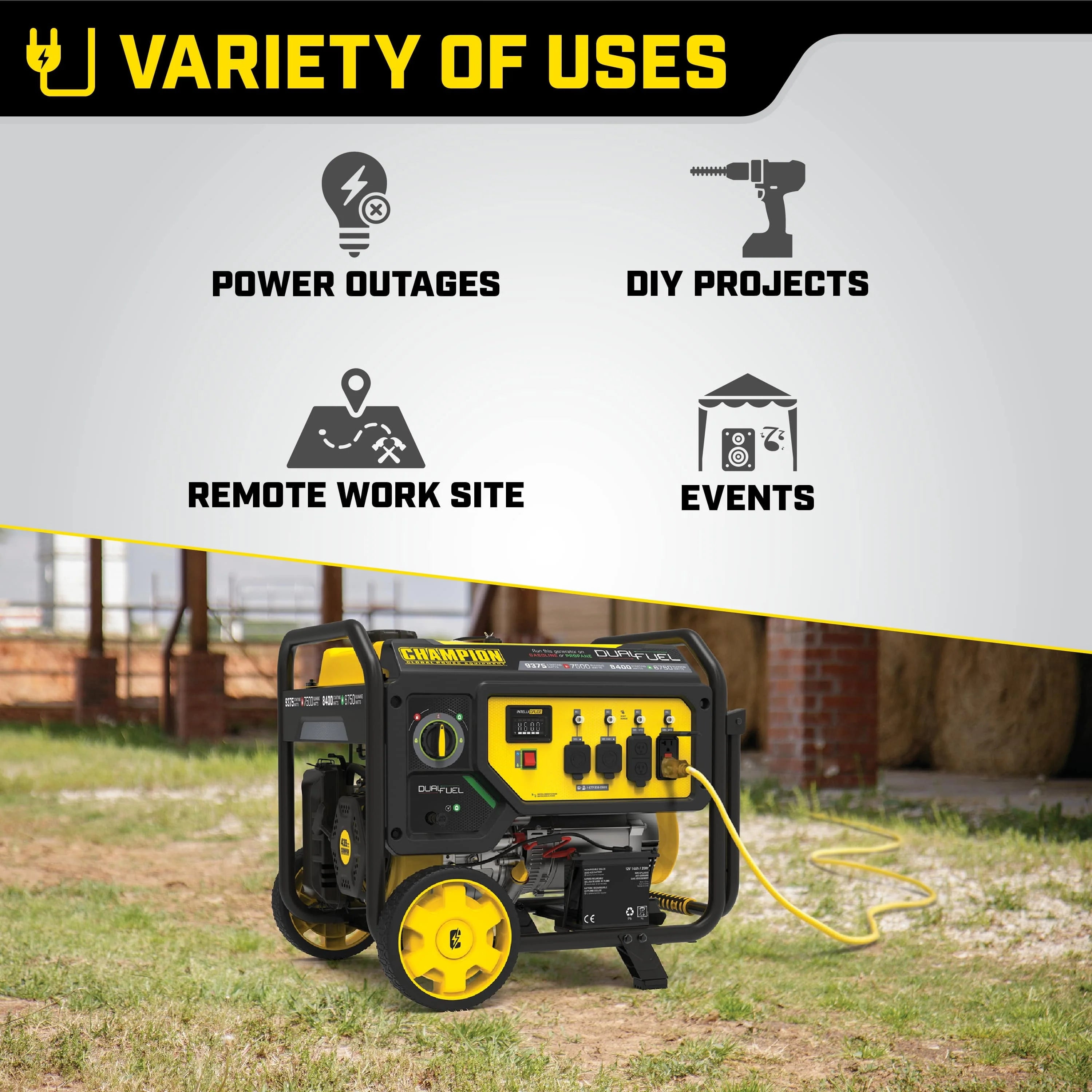 Dual Fuel Portable Generator with Electric Start Z471