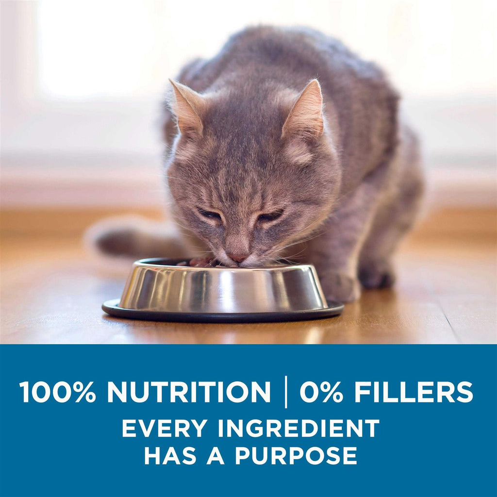High Protein Natural Senior Dry Cat Food F1754