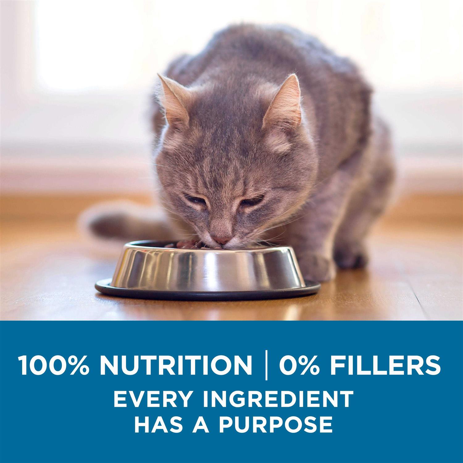 High Protein Natural Senior Dry Cat Food F1754