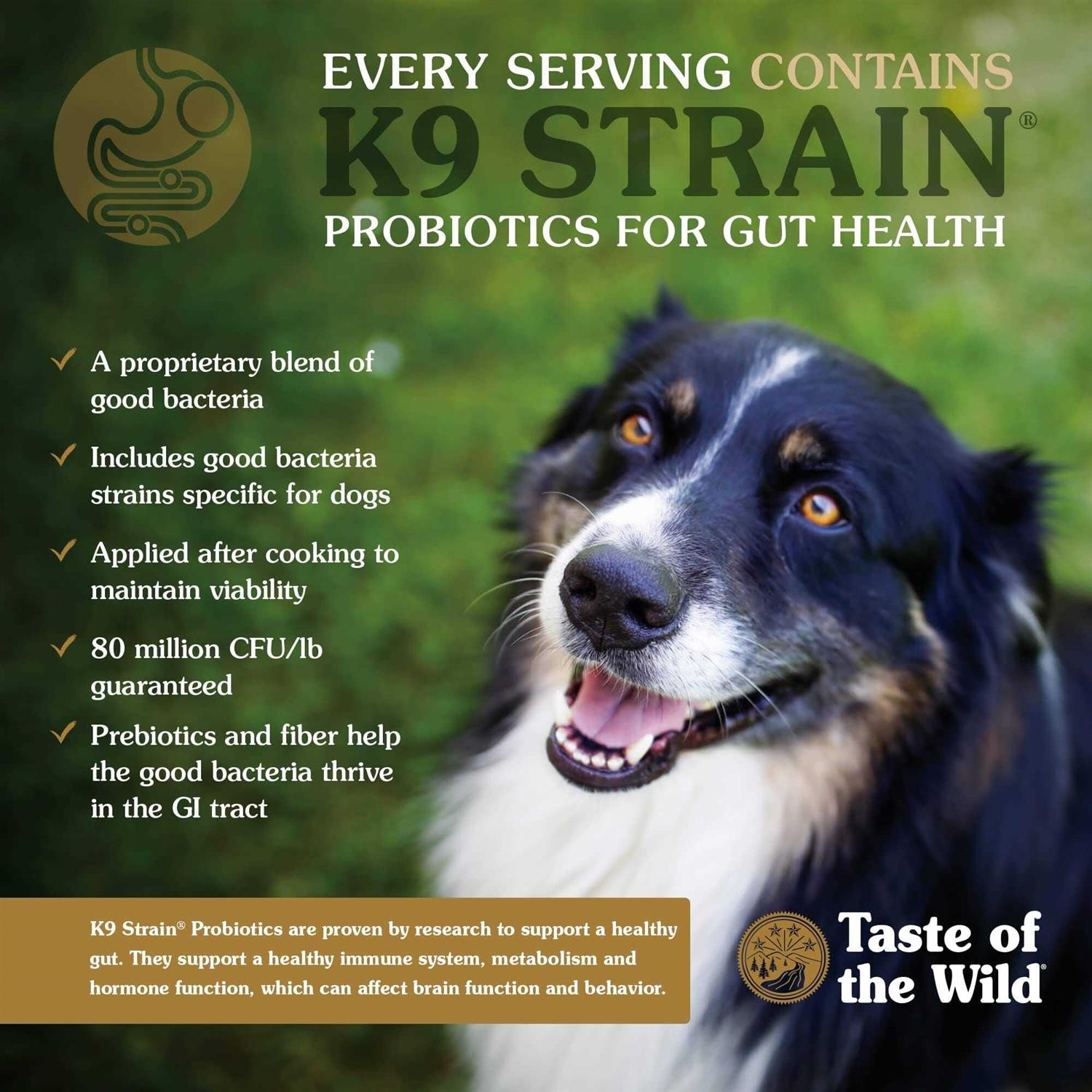 Pacific Stream Dog Food S220397