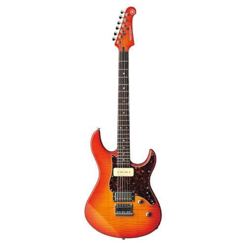 Translucent Black 6 String Solid-Body Electric Guitar H5828