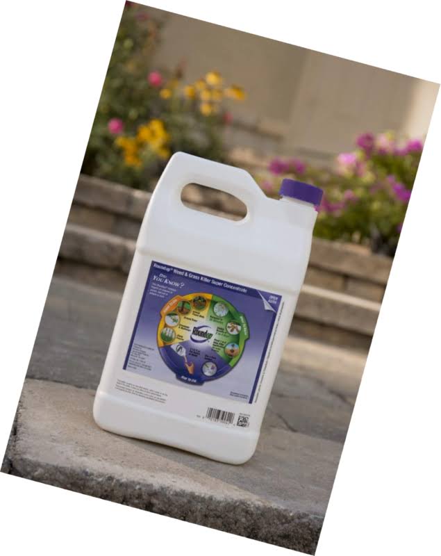 1 Gal Weed and Grass Killer N361591
