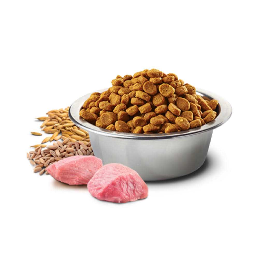 Chicken & Pomegranate Adult Dry Cat Food G2223