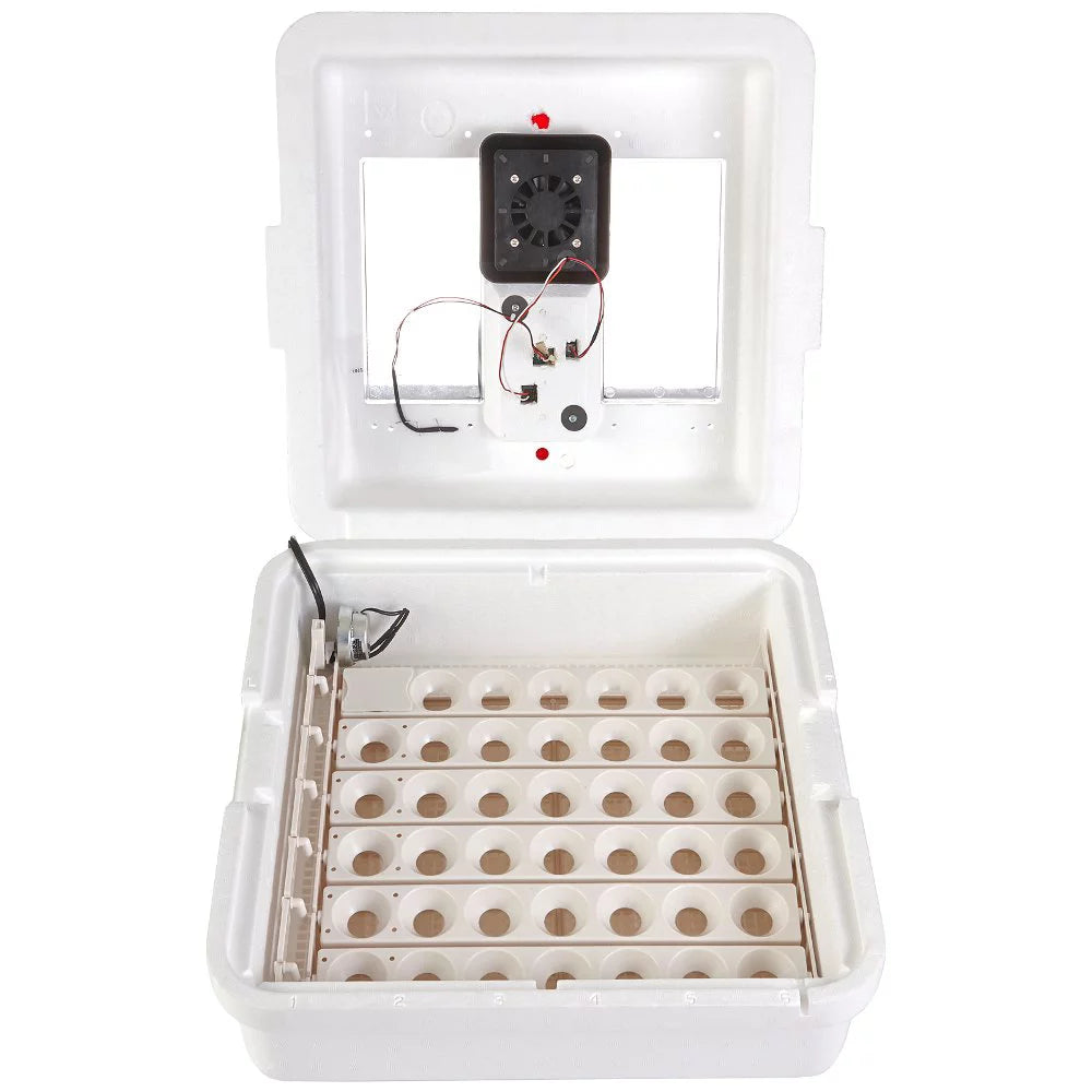 Deluxe Circulated Air Incubator with Egg Turner N951